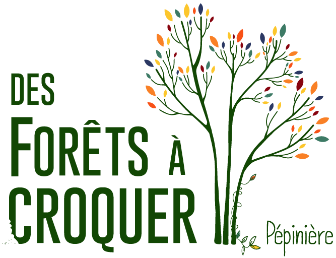 Des Forets A Croquer - Pépinière plantes comestibles